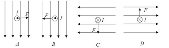 磁场对通电导线的作用:安培力,左手定则