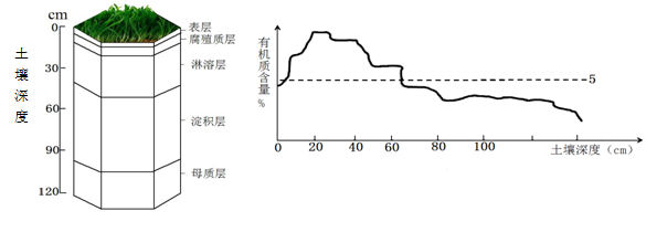 图1为我国东部某地土壤剖面图,图2 为该土壤有机质分布图.