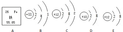 如图是铁元素在元素周期表中的部分信息和4种粒子的结构示意图.