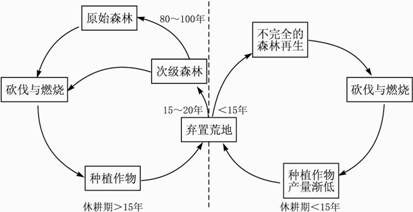 图1热带雨林原始的迁移农业图2迁