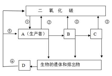 图是某生态系统的物质循环过程,请回答:(每空1分共10分)
