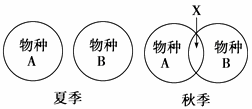 两种群在秋季竞争食物,但在夏季不发生竞争 默认展开答案 反馈