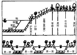 地理考试题目  读珠江三角洲的"基塘农业"和辛店洼的"鱼塘—台田"模式