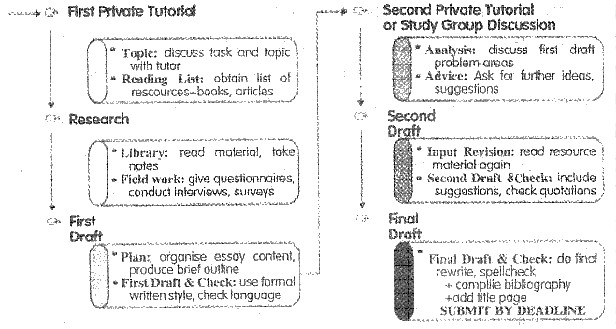 describe the stages of the process of writing a report,using the