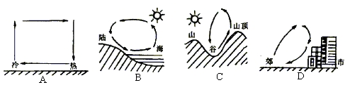 下列几种热力环流示意图中,气流运动方向表示正确的是