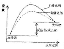 使用催化剂后,活化能降低,故图像为          