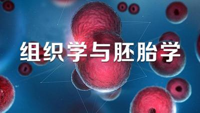 组织学与胚胎学（潍坊医学院）-2020春夏 - 刷刷题