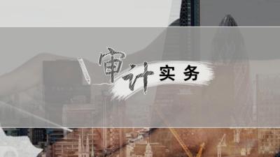 审计实务-2020春夏 - 刷刷题