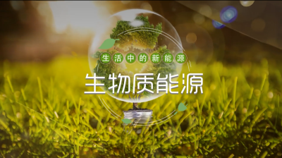 生活中的新能源-生物质能源-2020春夏 - 刷刷题