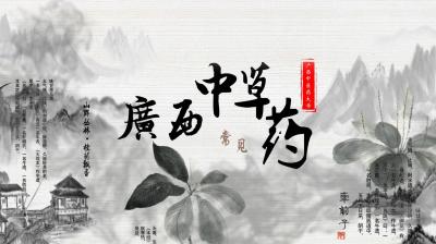 广西常见中草药-2019秋冬 - 刷刷题