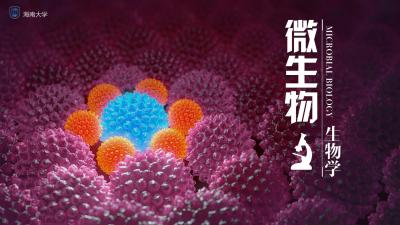 微生物生物学（海南联盟）-2019秋冬 - 刷刷题