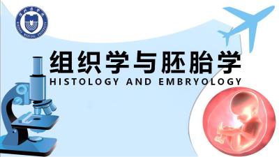 组织学与胚胎学（山东联盟—滨州医学院）-2020春夏 - 刷刷题