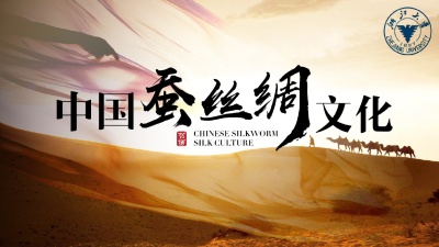 中国蚕丝绸文化-2019秋冬 - 刷刷题