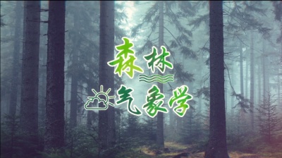 森林气象学-2019秋冬 - 刷刷题