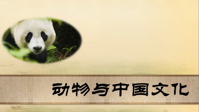 动物与中国文化-2020春夏 - 刷刷题