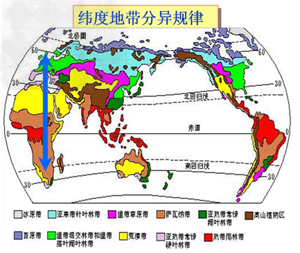 纬度地带性示意图图片