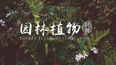 园林植物识别（海南联盟）-2019秋冬 - 刷刷题