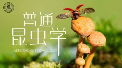 普通昆虫学（山西农业大学）-2019秋冬 - 刷刷题
