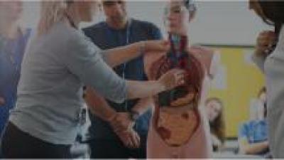 人体解剖学（南昌大学）-2020春夏 - 刷刷题
