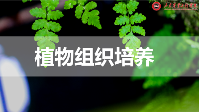 植物组织培养（山东联盟）-2020春夏 - 刷刷题