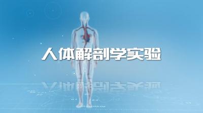 人体解剖学实验（山东联盟）-2020春夏 - 刷刷题