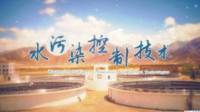 水污染控制技术（2019秋冬校内）-2019秋冬 - 刷刷题