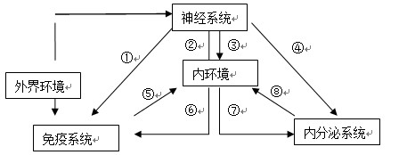 (3)图示表明内环境稳