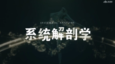 系统解剖学（潍坊医学院）-2020春夏 - 刷刷题