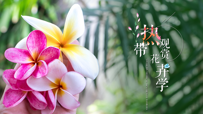 热带观赏花卉学（海南联盟） - 刷刷题