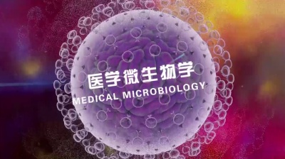 医学微生物学-2019春夏 - 刷刷题