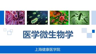 医学微生物学（上海健康医学院）-2020春夏 - 刷刷题