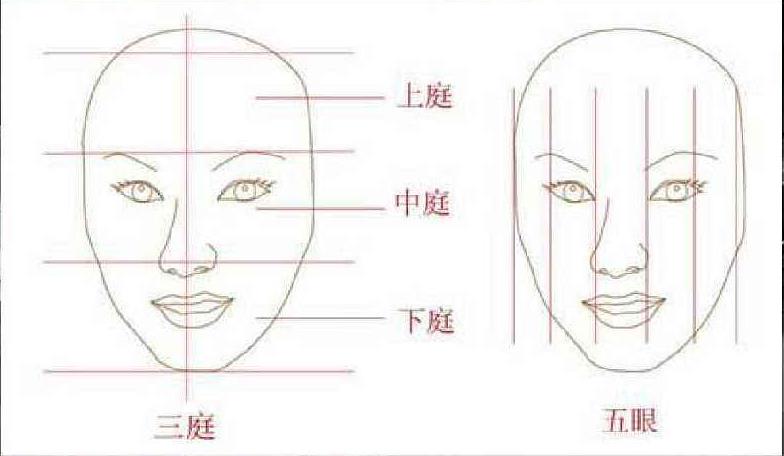 三停五眼表述的是如下图所示的比例位置