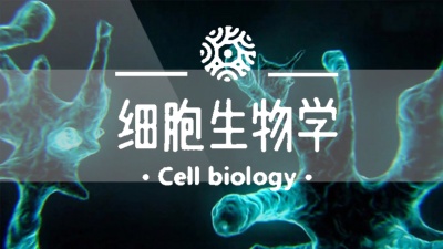 细胞生物学-2020春夏 - 刷刷题