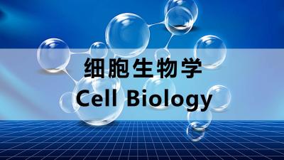 细胞生物学（山东联盟）-2020春夏 - 刷刷题