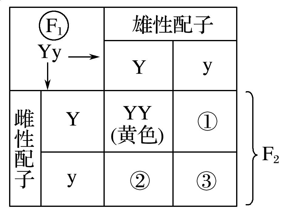 相对性状杂交实验图片