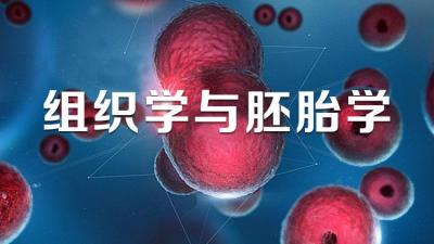 组织学与胚胎学-2018春夏 - 刷刷题