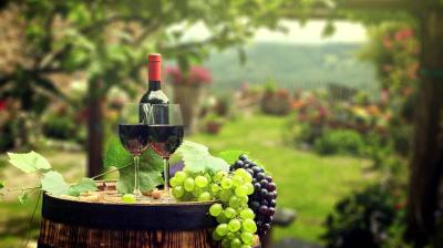 葡萄与葡萄酒工艺学（山东联盟）-2020春夏 - 刷刷题