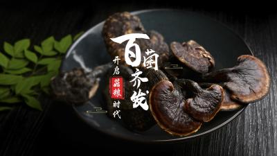 百菌齐发——开启菇粮时代-2019秋冬 - 刷刷题