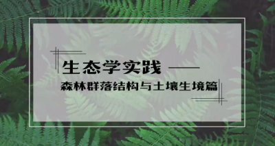 生态学实践——森林群落结构与土壤生境篇-2020春夏 - 刷刷题