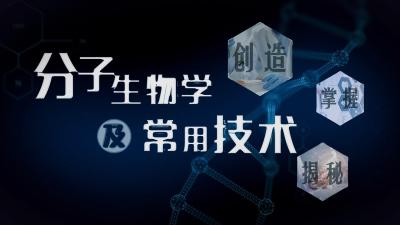 分子生物学及常用技术-2020春夏 - 刷刷题