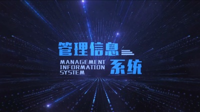 管理信息系统（山东财经大学版）-2019春夏 - 刷刷题