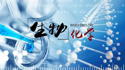 生物化学（中山大学）-2020春夏 - 刷刷题