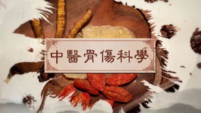 中医骨伤科学-2016秋冬 - 刷刷题